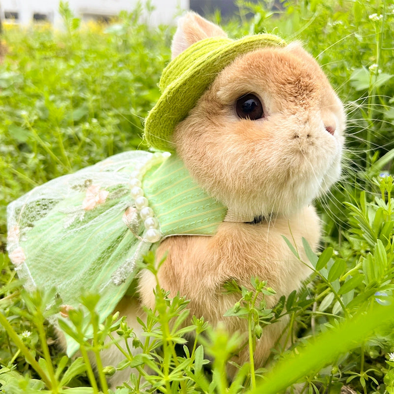 Spring Outing Vintage Green Princess Skirt Pet Rabbit