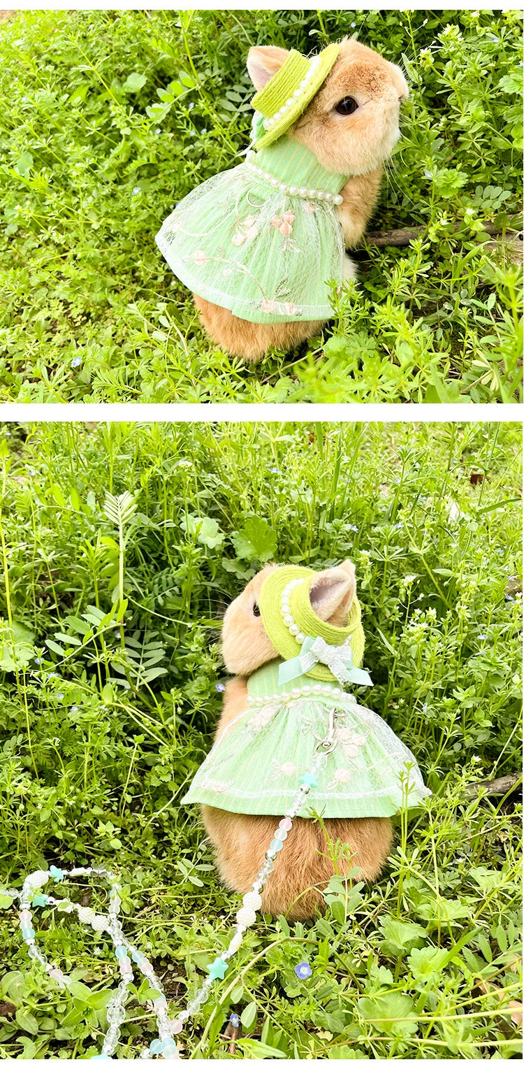 Spring Outing Vintage Green Princess Skirt Pet Rabbit