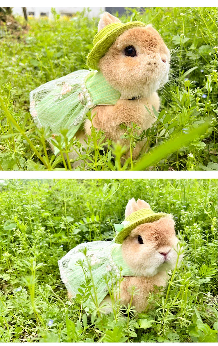 Spring Outing Vintage Green Princess Skirt Pet Rabbit