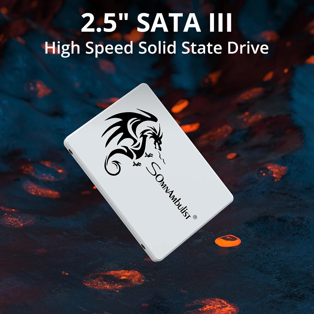 SomnAmbulist SSD 2.5 64GB 128GB 256GB 512GB 1TB for Laptop Desktop Solid State Drive Sata3 120GB 240GB 480GB 960GB 2T